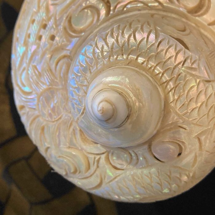 large mother of pearl shell